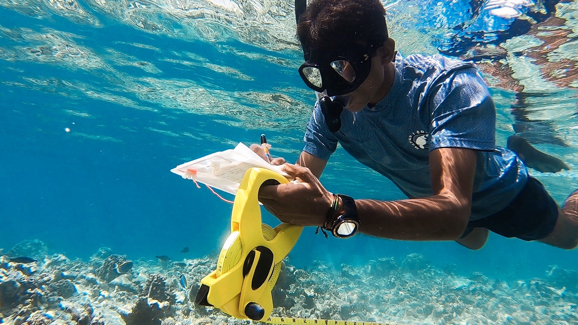 Velavaru Citizen Science 